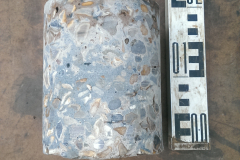 1_IMAG0787